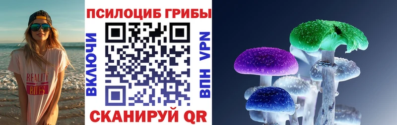 что такое   Нефтекумск  Псилоцибиновые грибы ЛСД 